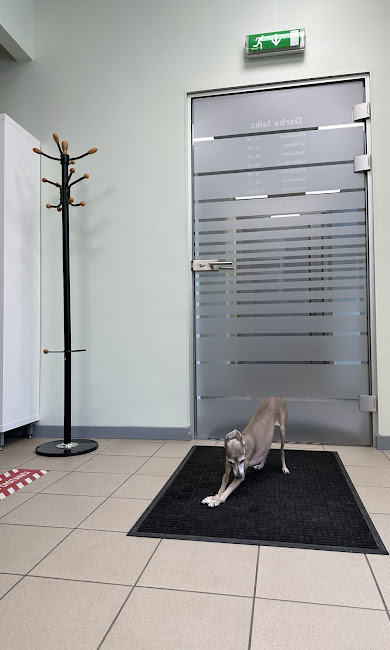 Vipets klīnikas durvīs