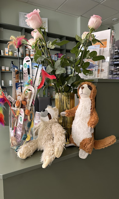 Teikas veterinārās klīnikas interjers