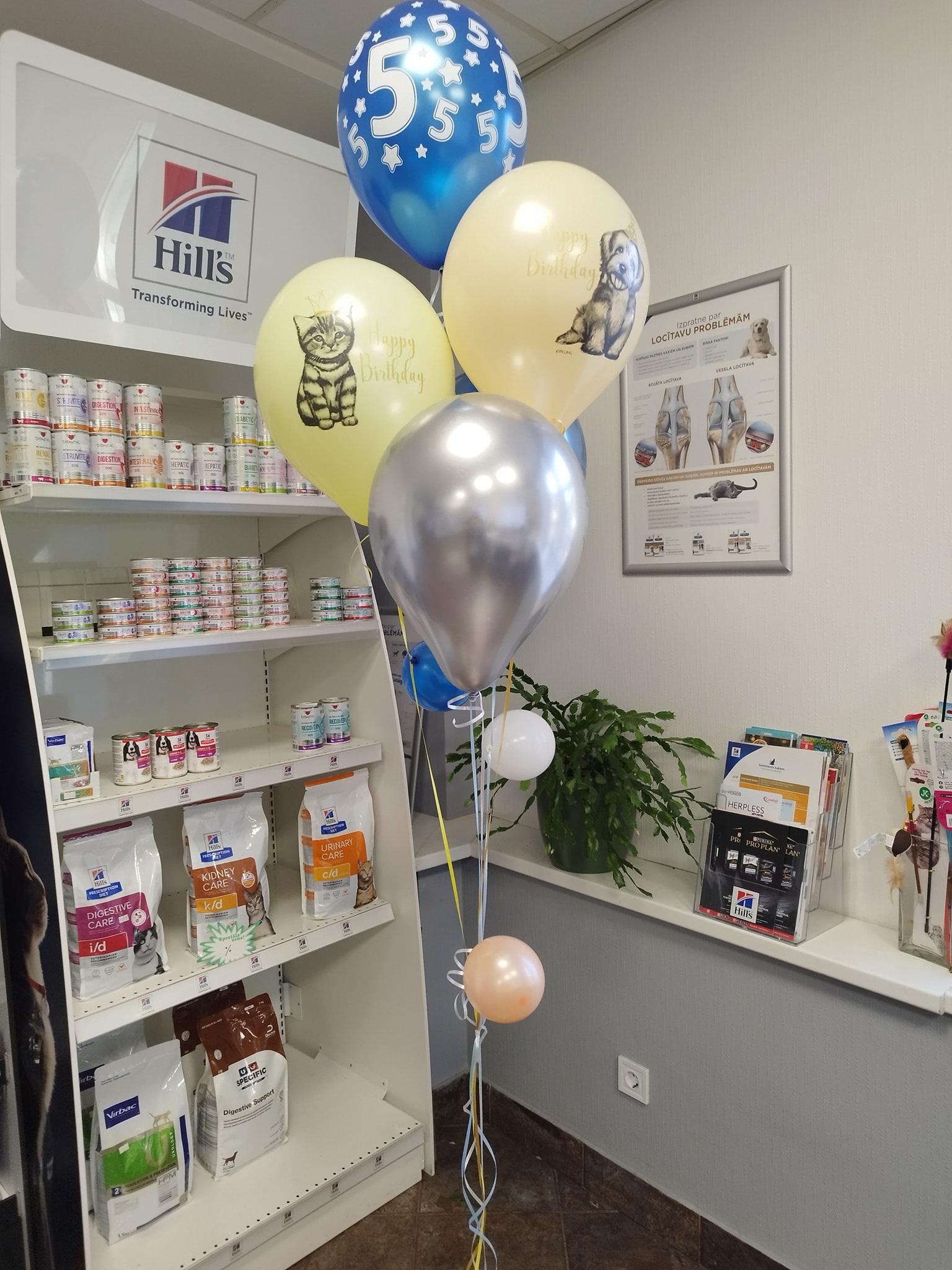 Hill's Prescription Diet display