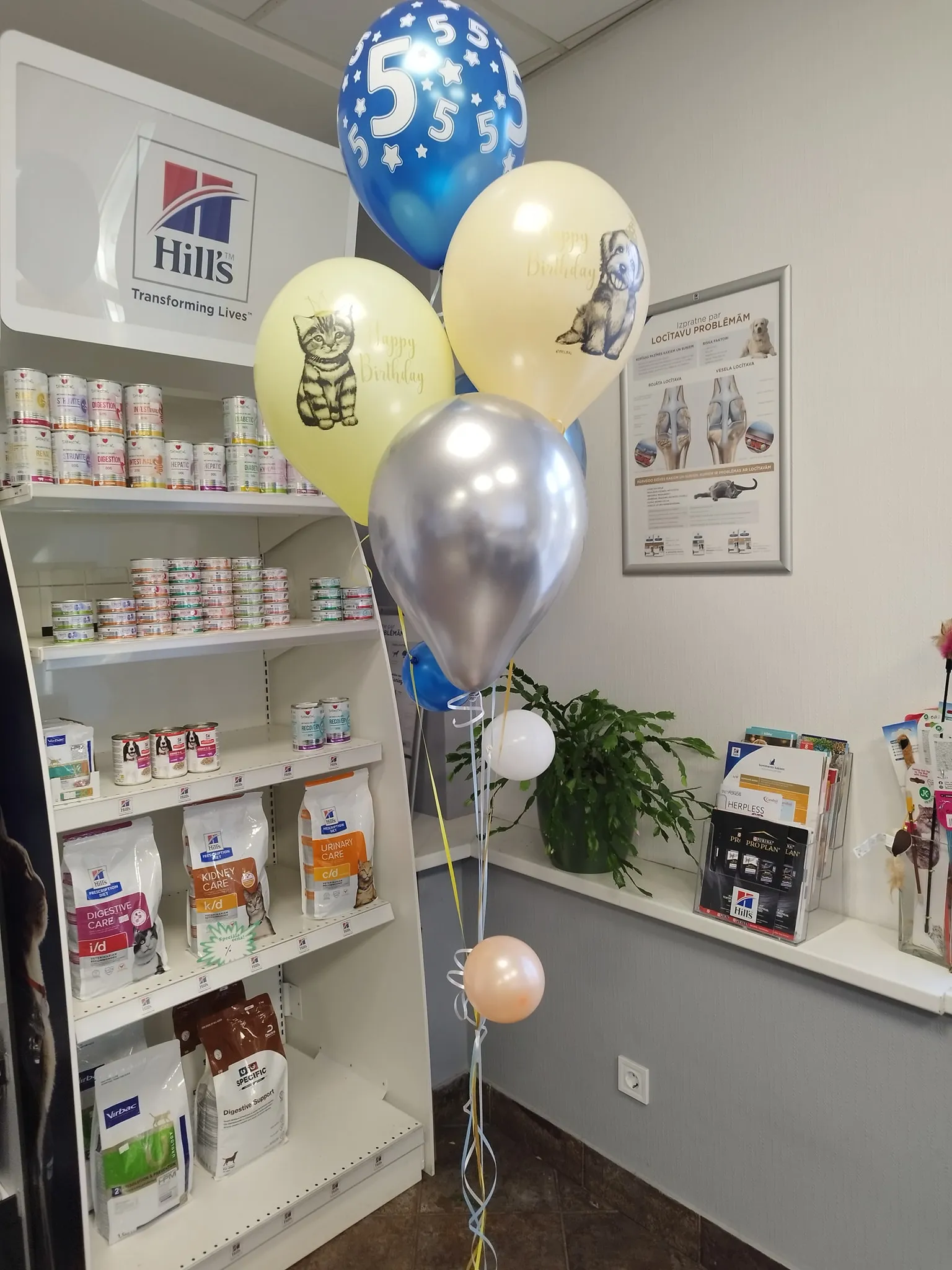 Hill's Prescription Diet display